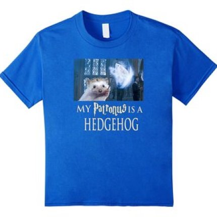 My Patronus is a Hedgehog